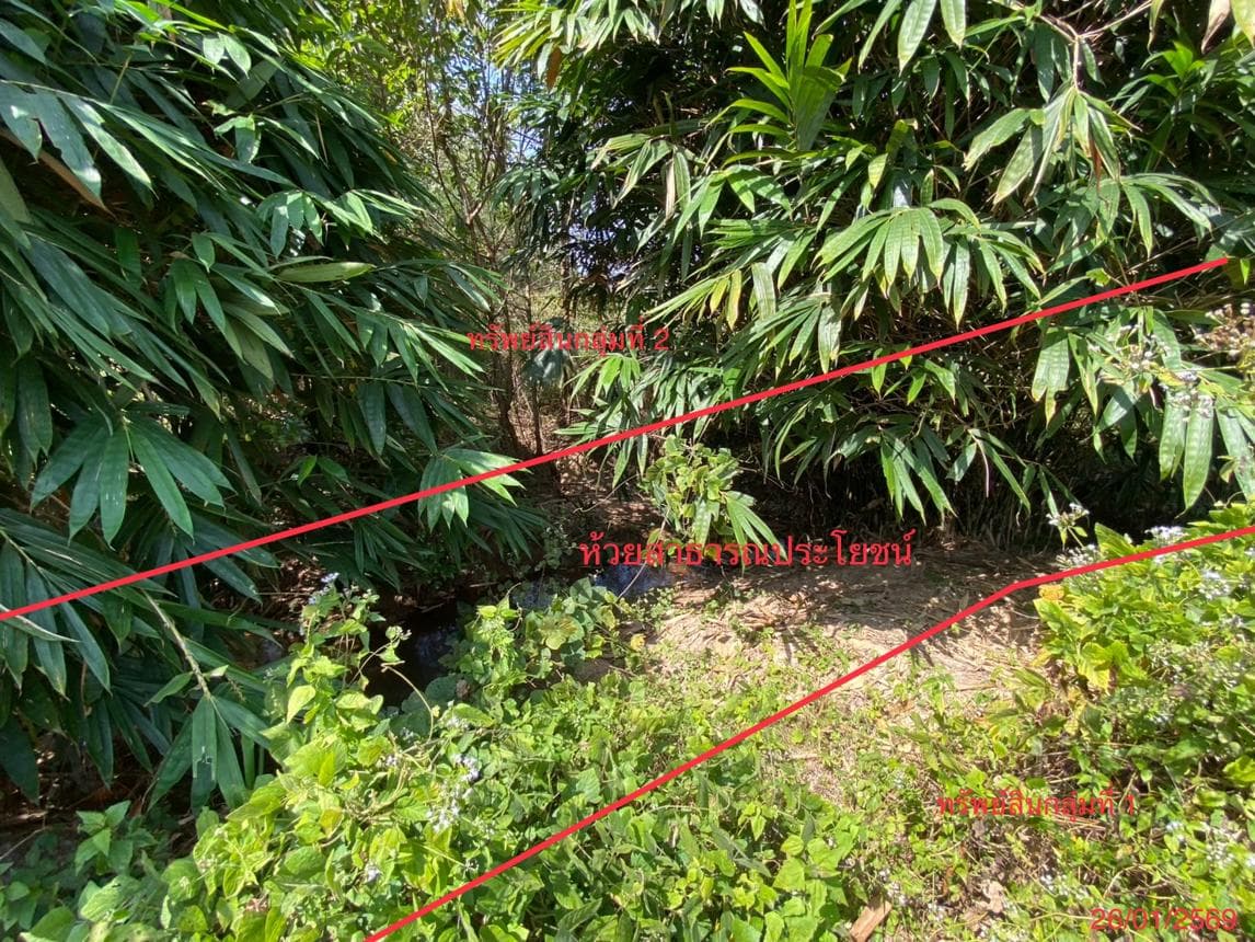 บ้านเดี่ยวทำเลศักยภาพ สำนักขาม สะเดา สงขลา พื้นที่ใช้สอย 36 ตร.ม.