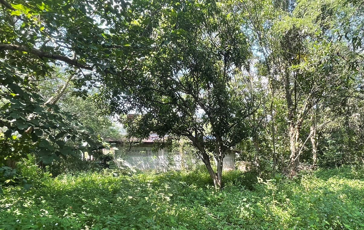 ที่ดินเปล่า เมืองอุดรธานี อุดรธานี