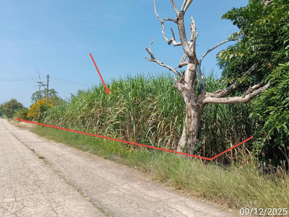 ขายบ้านเดี่ยวหลังใหญ่ 4 ห้องนอน วังสมบูรณ์ สระแก้ว พื้นที่กว้างขวาง ทำเลสงบเป็นส่วนตัว