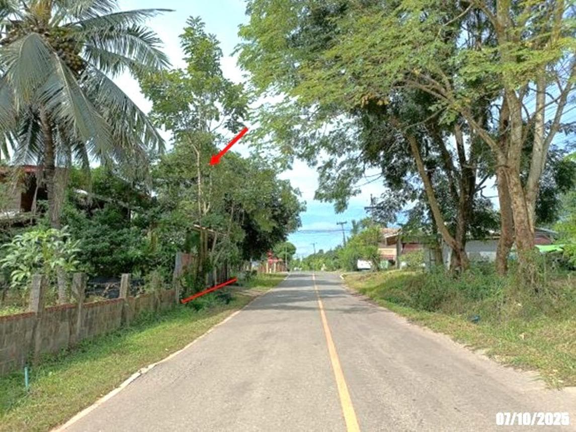 บ้านเดี่ยว ท่าบ่อ หนองคาย 2 ห้องนอน สเปซใหญ่ 219.75 ตร.ม. ราคาล้านต้นๆ ผ่อนสบายเป็นเจ้าของง่าย