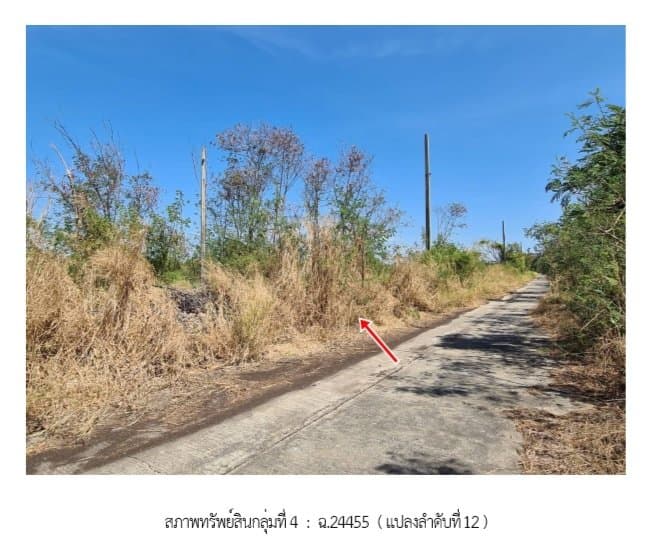 ที่ดินว่างเปล่า ฉลองกรุง ริเวอร์วิลล์ หนองจอก