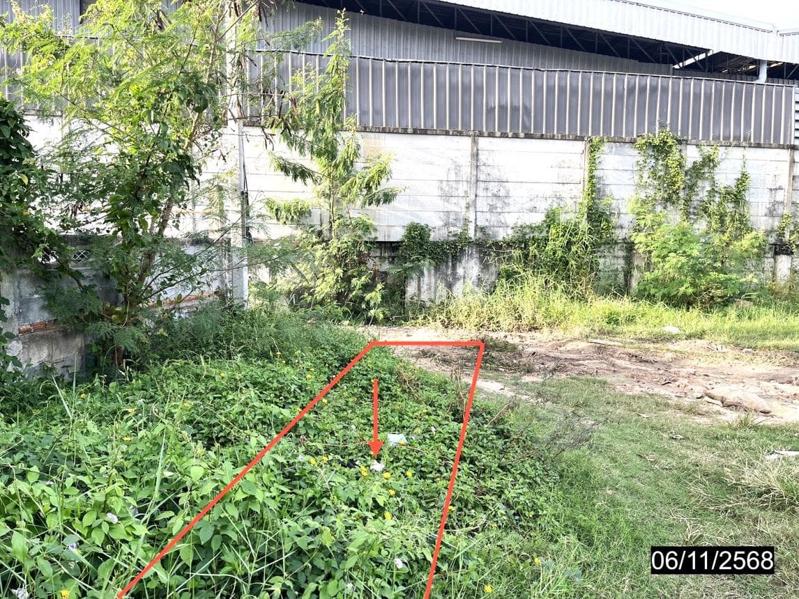 บ้านเดี่ยว เหนือเมือง เมืองร้อยเอ็ด 3 ห้องนอน 1 ห้องน้ำ พื้นที่ใช้สอย 205 ตร.ม. ทำเลดี ใกล้สิ่งอำนวยความสะดวก ราคาไม่ถึง 2 ล้าน