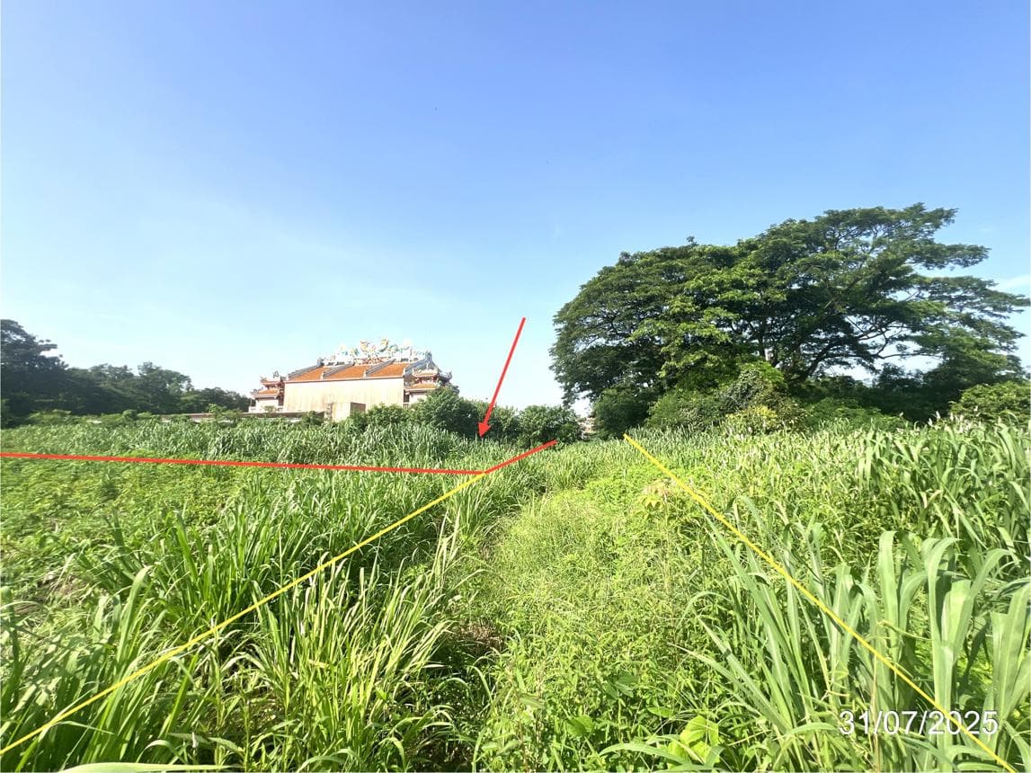 ขายที่ดิน หนองปลิง เมืองกำแพงเพชร กำแพงเพชร พื้นที่ 10.4 ตร.ว.
