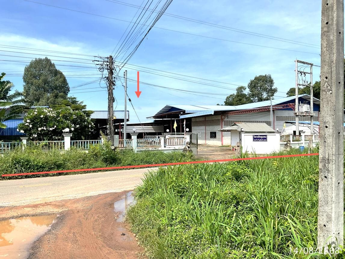 ขายอาคารโรงงาน เขื่องคำ เมืองยโสธร ยโสธร พื้นที่ใช้สอย 4625 ตร.ม.