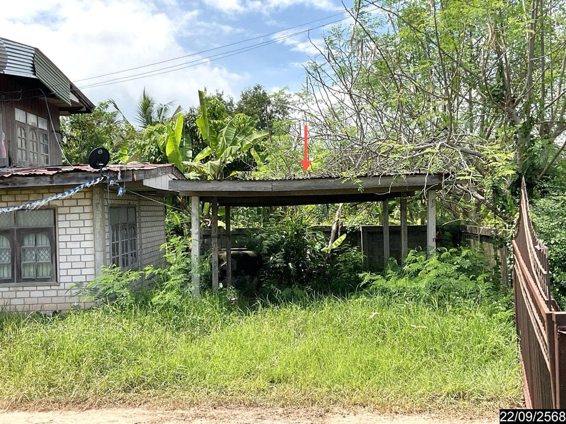 ขายบ้านเดี่ยวราคาไม่ถึงล้าน 3 ห้องนอน 1 ห้องน้ำ พื้นที่ใช้สอย 155.5 ตร.ม. ทำเลดี ย่านบ้านแปรง ด่านขุนทด นครราชสีมา บรรยากาศเงียบสงบน่าอยู่อาศัย