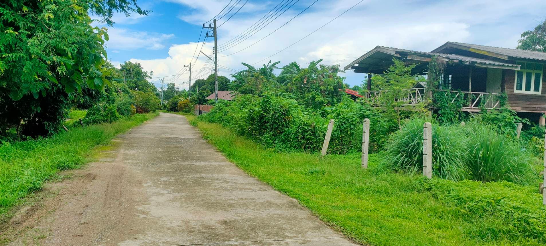 ขายที่ดินสวยทำเลทอง อำเภอพาน เชียงราย เหมาะสร้างบ้านพักผ่อน หรือเก็งกำไร!