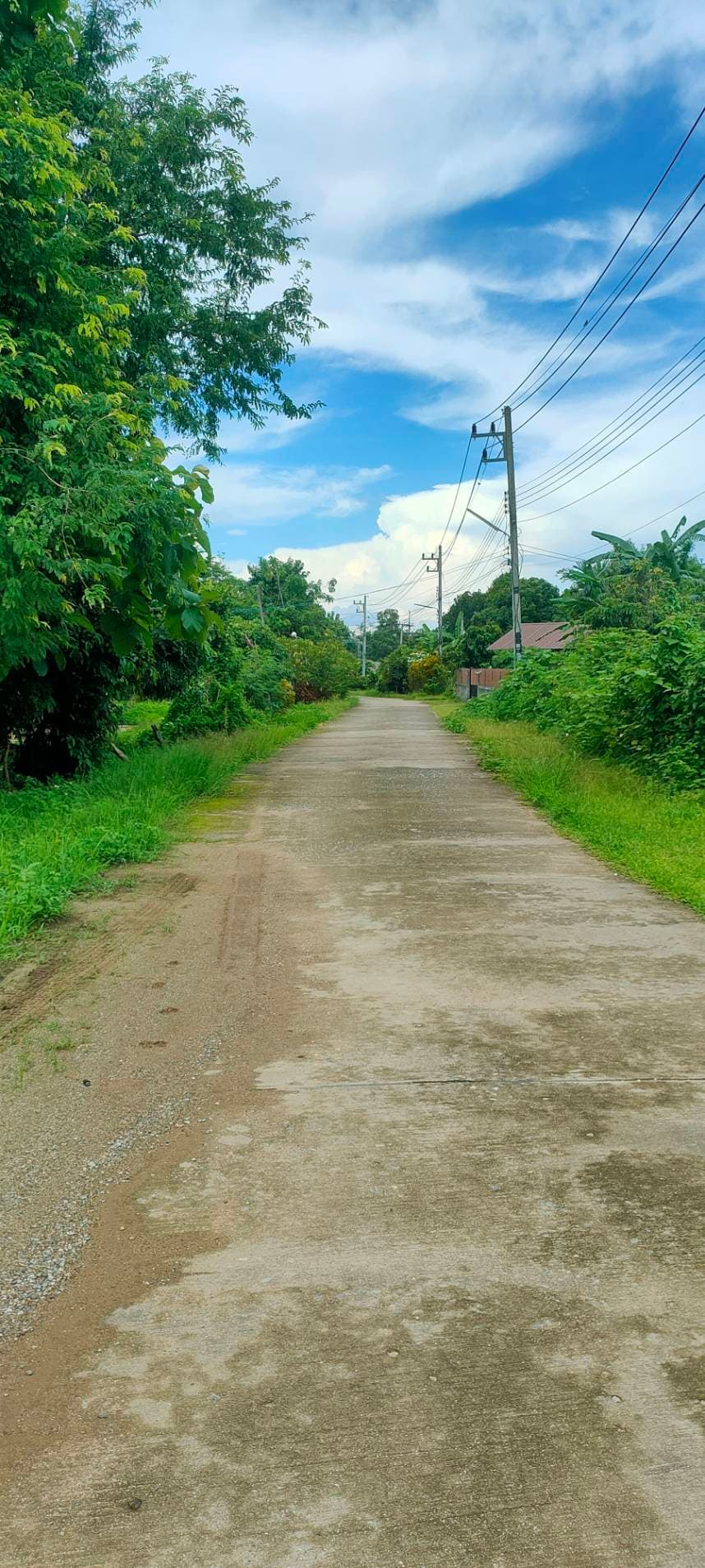 ขายที่ดินสวยทำเลทอง อำเภอพาน เชียงราย เหมาะสร้างบ้านพักผ่อน หรือเก็งกำไร!