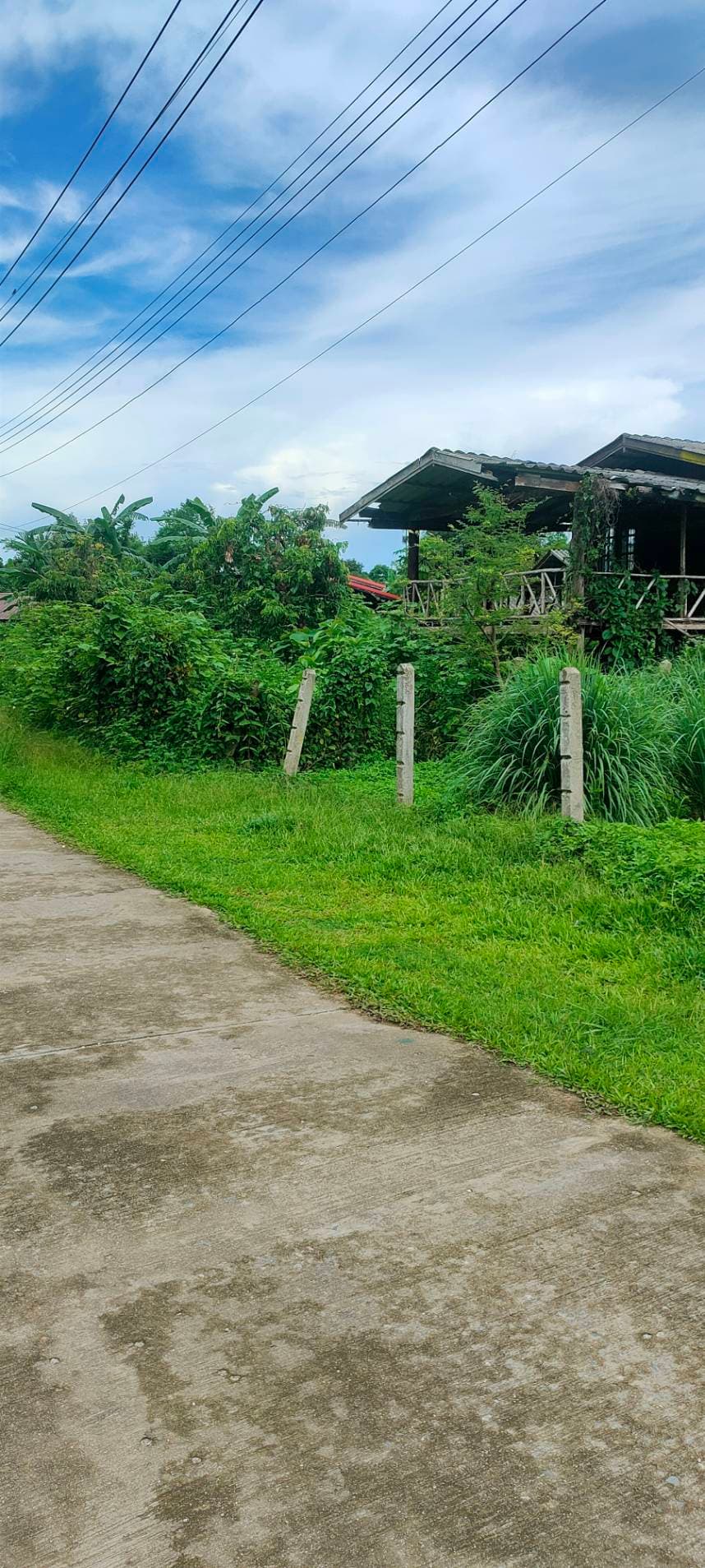ขายที่ดินสวยทำเลทอง อำเภอพาน เชียงราย เหมาะสร้างบ้านพักผ่อน หรือเก็งกำไร!