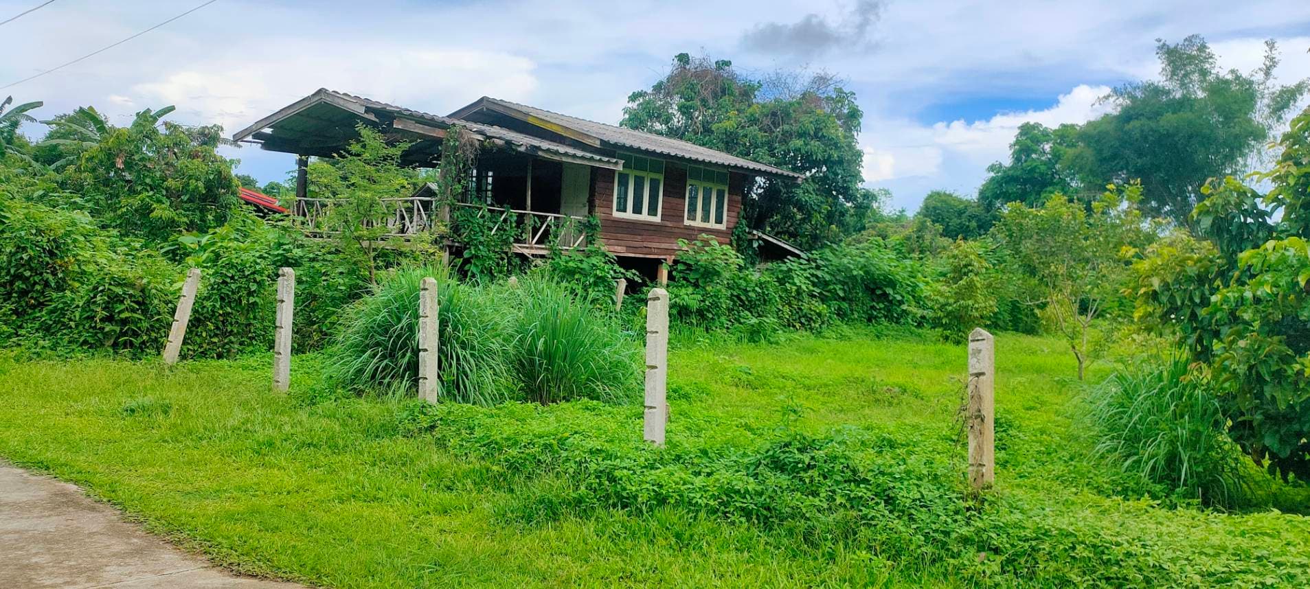 ขายที่ดินสวยทำเลทอง อำเภอพาน เชียงราย เหมาะสร้างบ้านพักผ่อน หรือเก็งกำไร!