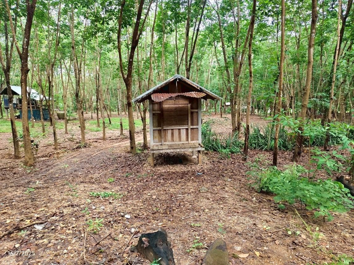 บ้านเดี่ยว 1 ห้องนอน 2 ห้องน้ำ พื้นที่ 124 ตร.ม. บนเนื้อที่ 58 ตร.ว. ทำเลศักยภาพ ทรายขาว วังสะพุง เลย