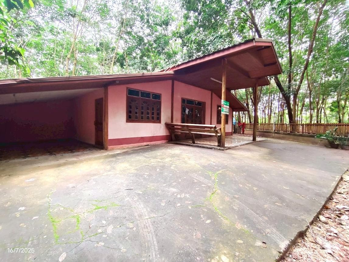 บ้านเดี่ยว 1 ห้องนอน 2 ห้องน้ำ พื้นที่ 124 ตร.ม. บนเนื้อที่ 58 ตร.ว. ทำเลศักยภาพ ทรายขาว วังสะพุง เลย