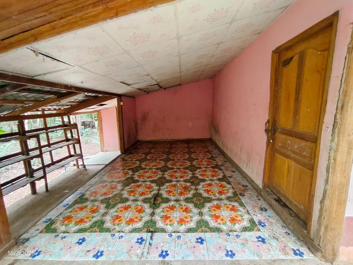 บ้านเดี่ยว 1 ห้องนอน 2 ห้องน้ำ พื้นที่ 124 ตร.ม. บนเนื้อที่ 58 ตร.ว. ทำเลศักยภาพ ทรายขาว วังสะพุง เลย