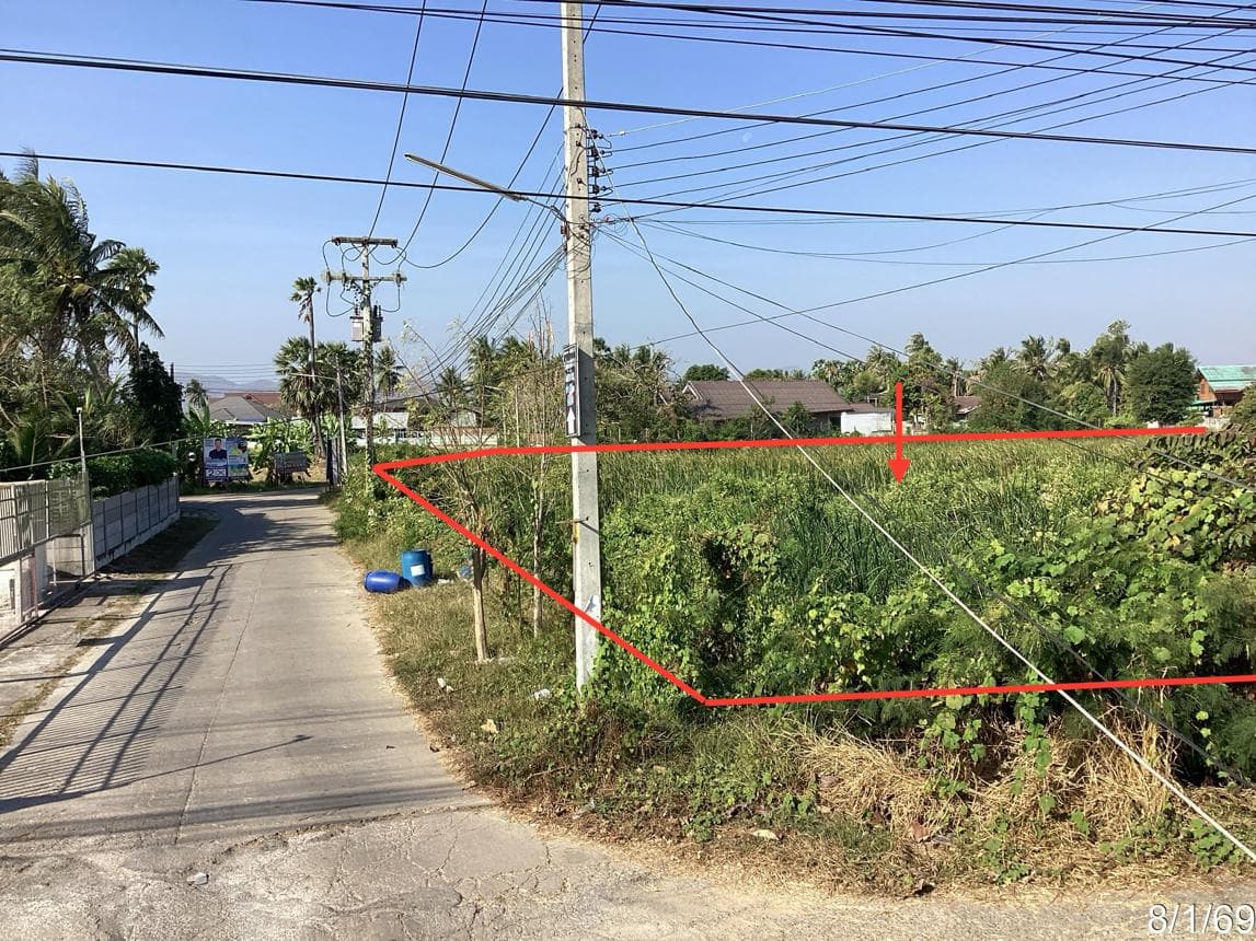 ขายที่ดินเปล่า หนองปรง เขาย้อย เพชรบุรี