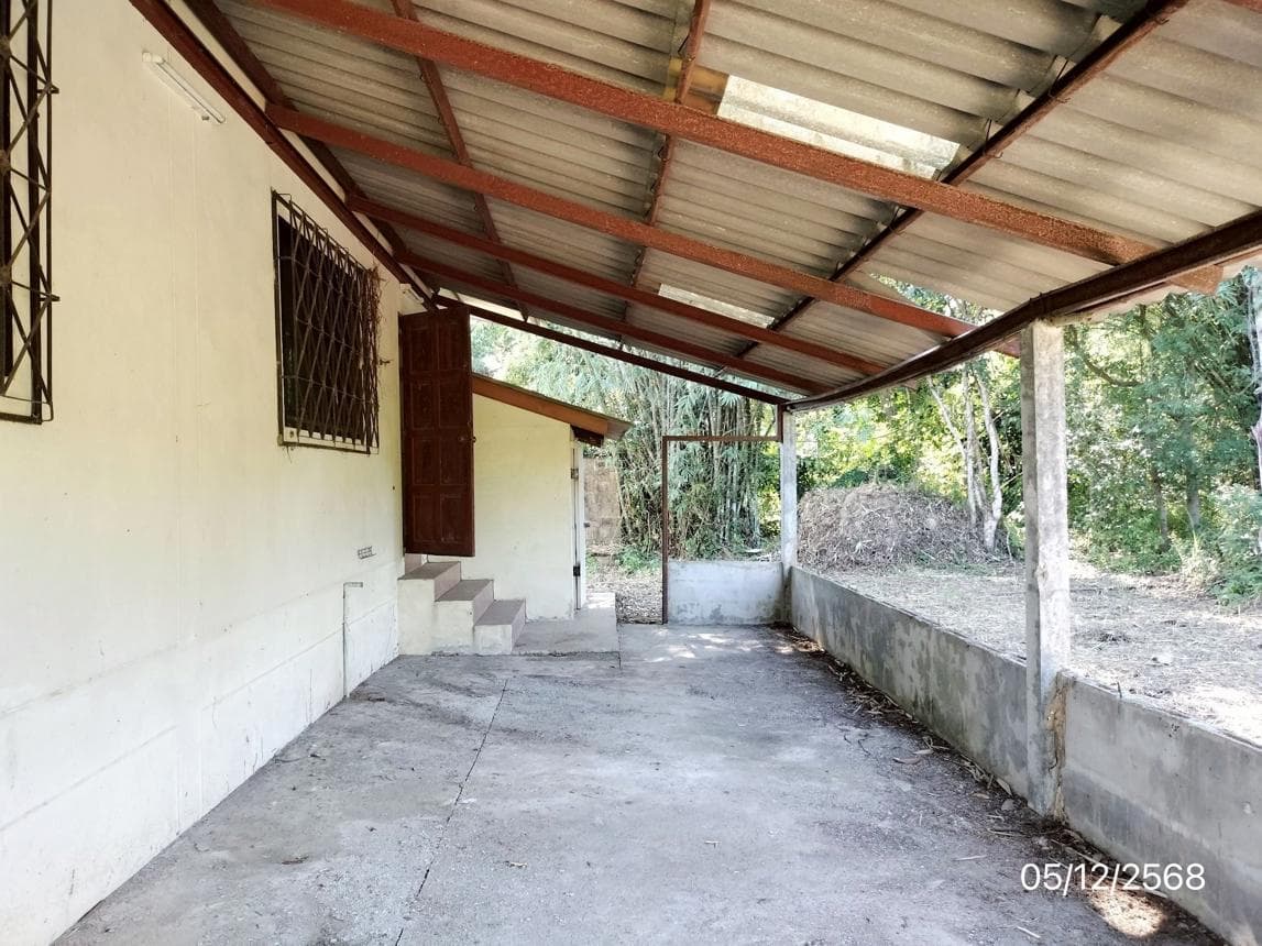 บ้านเดี่ยว รอบเวียง เมืองเชียงราย เชียงราย 3 ห้องนอน 2 ห้องน้ำ พื้นที่ 140.5 ตร.ม. บนที่ดิน 61.4 ตร.ว. ทำเลใจกลางเมือง