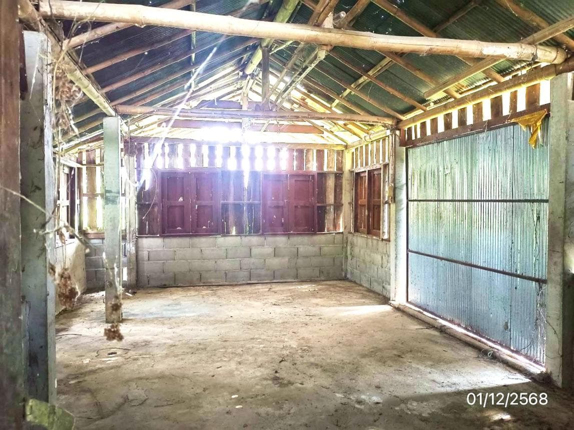 ขายบ้านเดี่ยว บ้านด้าย แม่สาย เชียงราย พื้นที่ 28 ตร.ว. 3 ห้องนอน 1 ห้องน้ำ