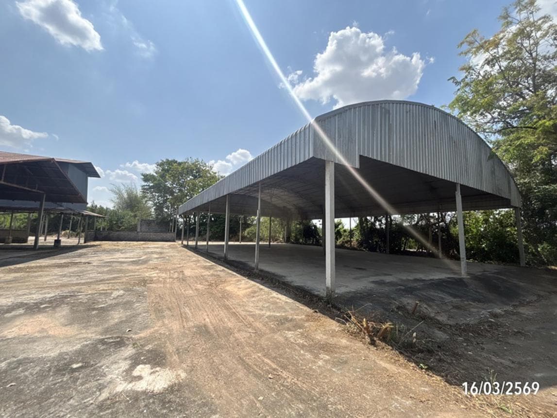 ขายบ้านเดี่ยว กู่สวนแตง บ้านใหม่ไชยพจน์ บุรีรัมย์ 3 ห้องนอน พื้นที่กว้าง 202.5 ตร.ม.
