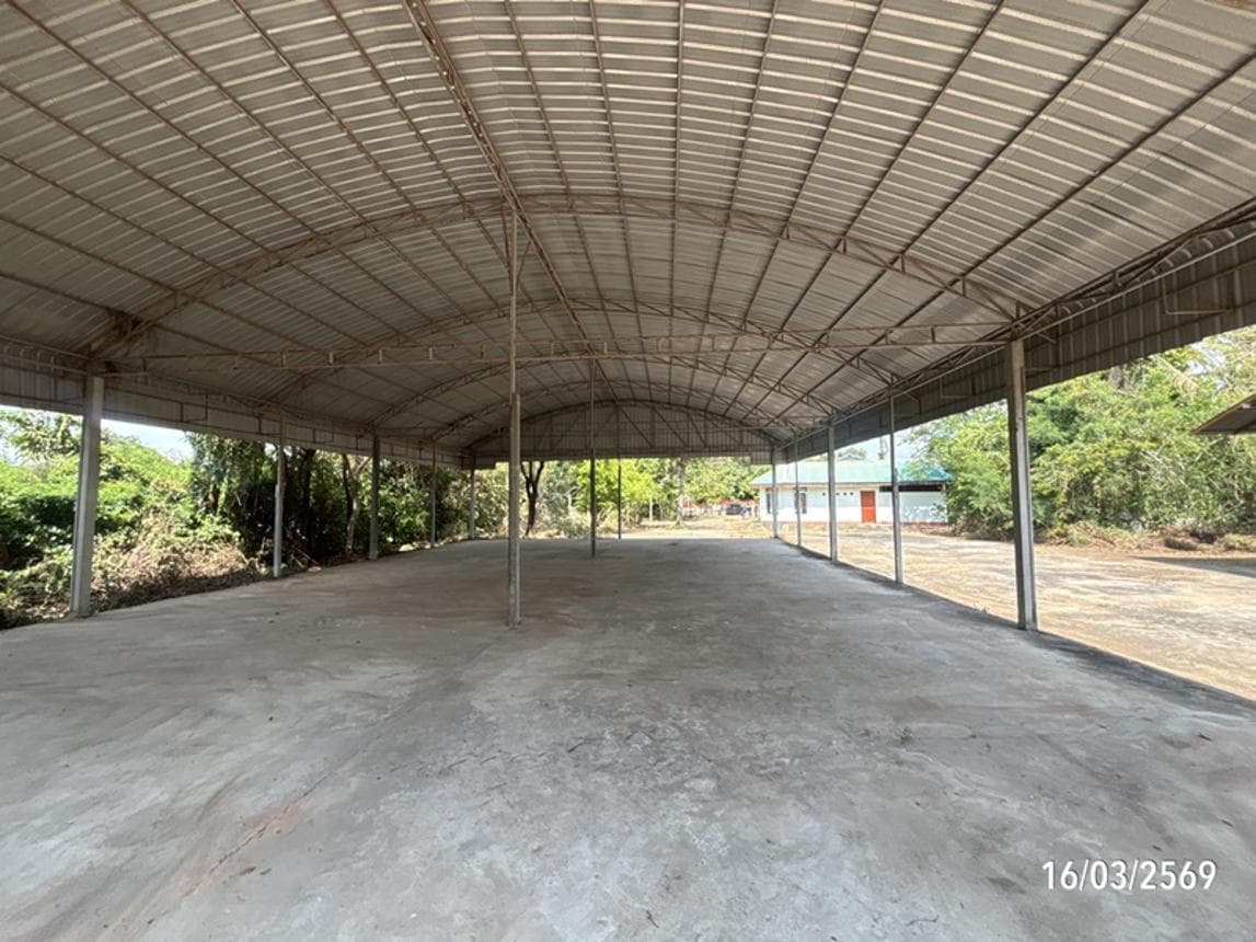 ขายบ้านเดี่ยว กู่สวนแตง บ้านใหม่ไชยพจน์ บุรีรัมย์ 3 ห้องนอน พื้นที่กว้าง 202.5 ตร.ม.