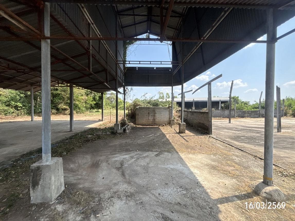 ขายบ้านเดี่ยว กู่สวนแตง บ้านใหม่ไชยพจน์ บุรีรัมย์ 3 ห้องนอน พื้นที่กว้าง 202.5 ตร.ม.