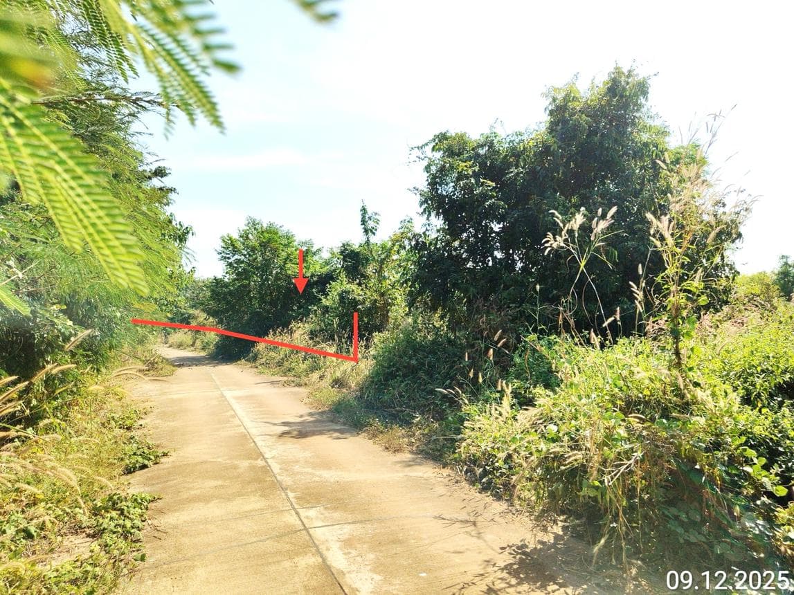 ที่ดินว่างเปล่า เนื้อที่ 76.8 ตร.ว. ทำเลศักยภาพ ชัยจุมพล ลับแล อุตรดิตถ์
