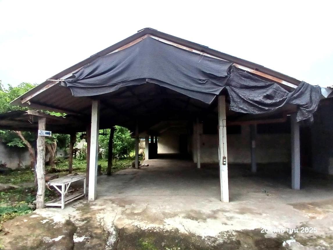 ขายบ้านเดี่ยว บ้านโฮ่ง ลำพูน พื้นที่ใช้สอยกว้างขวาง 203.25 ตร.ม. 3 ห้องนอน บรรยากาศเงียบสงบ