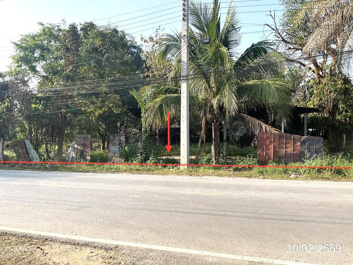 ขายบ้านเดี่ยว บัวสลี แม่ลาว เชียงราย 2 ห้องนอน พื้นที่ใช้สอย 55 ตร.ม.
