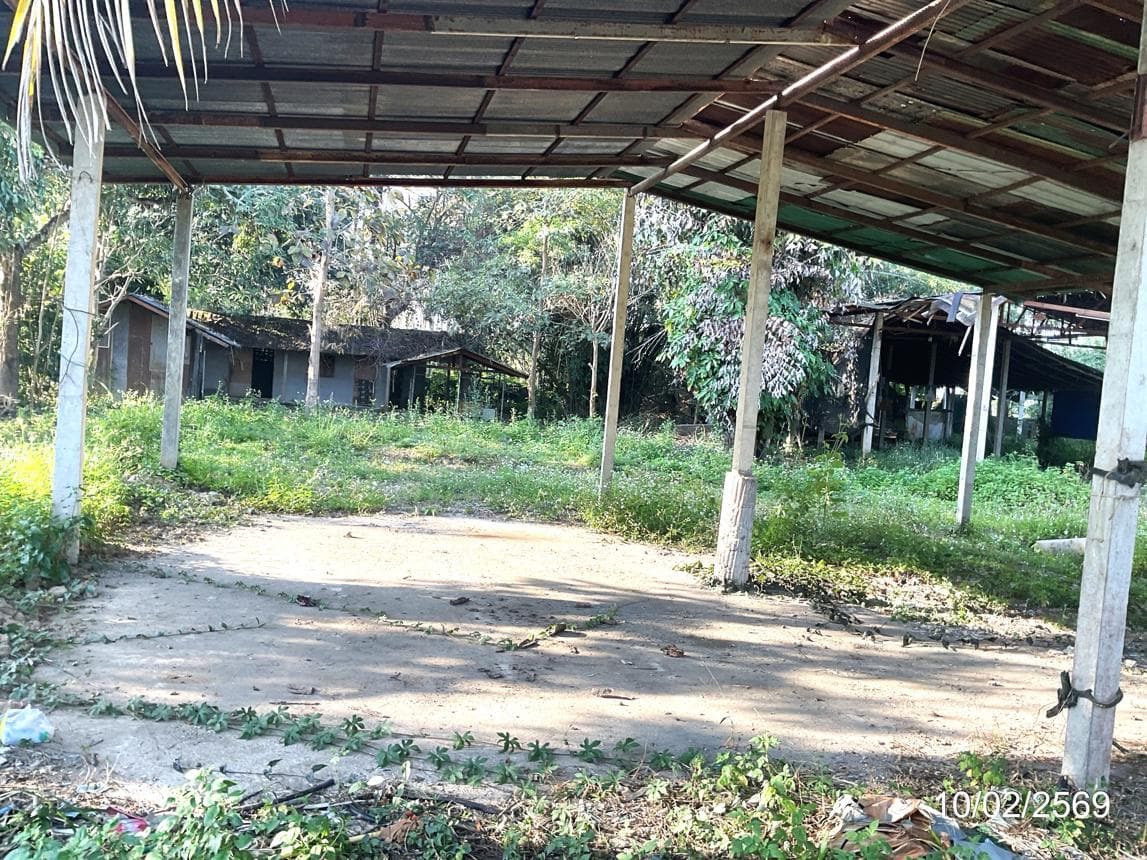 ขายบ้านเดี่ยว บัวสลี แม่ลาว เชียงราย 2 ห้องนอน พื้นที่ใช้สอย 55 ตร.ม.