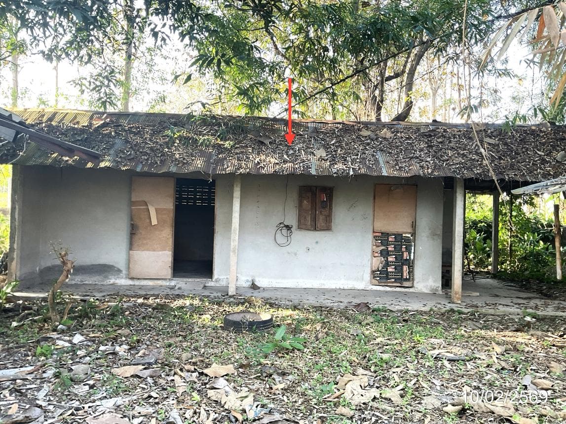 ขายบ้านเดี่ยว บัวสลี แม่ลาว เชียงราย 2 ห้องนอน พื้นที่ใช้สอย 55 ตร.ม.