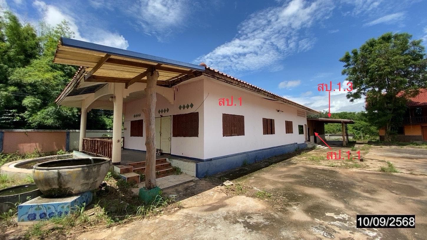 บ้านเดี่ยว 6 ห้องนอน พื้นที่ 295.5 ตร.ม. ทำเลศักยภาพ หนองผือ ท่าลี่ เลย