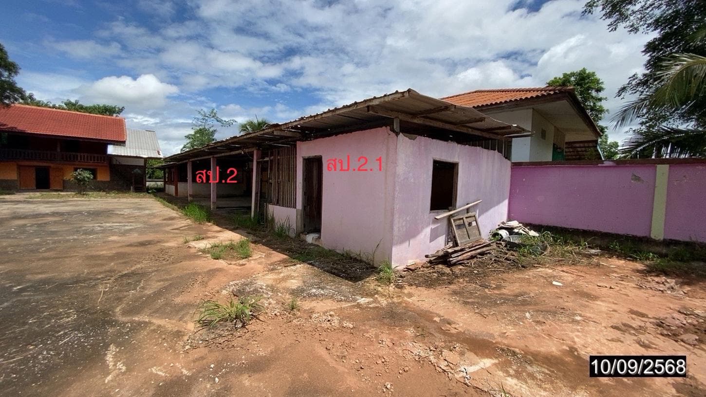 บ้านเดี่ยว 6 ห้องนอน พื้นที่ 295.5 ตร.ม. ทำเลศักยภาพ หนองผือ ท่าลี่ เลย