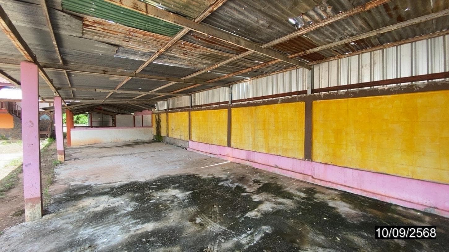 บ้านเดี่ยว 6 ห้องนอน พื้นที่ 295.5 ตร.ม. ทำเลศักยภาพ หนองผือ ท่าลี่ เลย