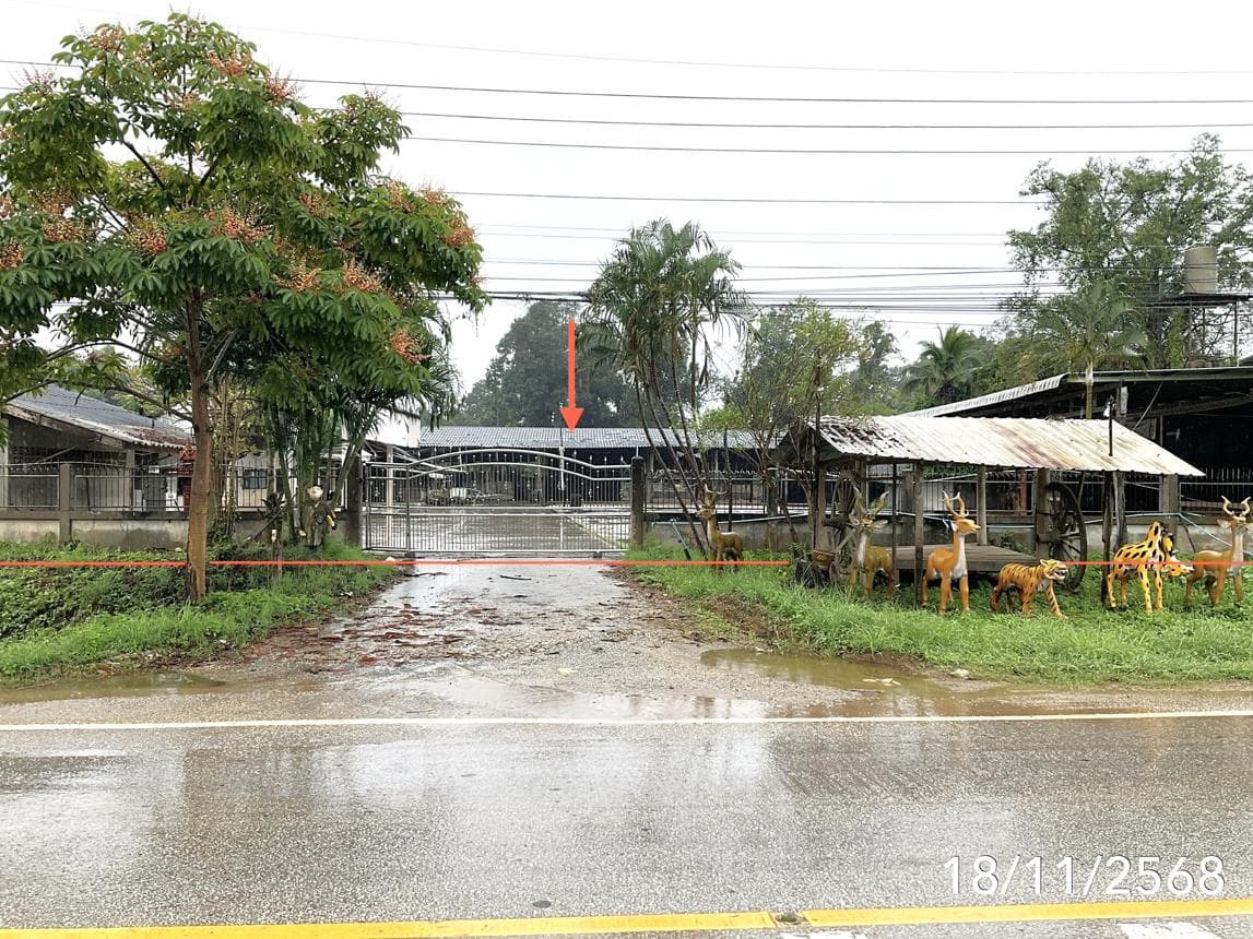 บ้านเดี่ยว 2 ห้องนอน พื้นที่ 152.5 ตร.ม. ทำเลศักยภาพ หล่ายงาว เวียงแก่น เชียงราย