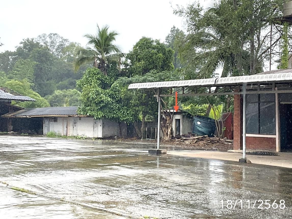 บ้านเดี่ยว 2 ห้องนอน พื้นที่ 152.5 ตร.ม. ทำเลศักยภาพ หล่ายงาว เวียงแก่น เชียงราย
