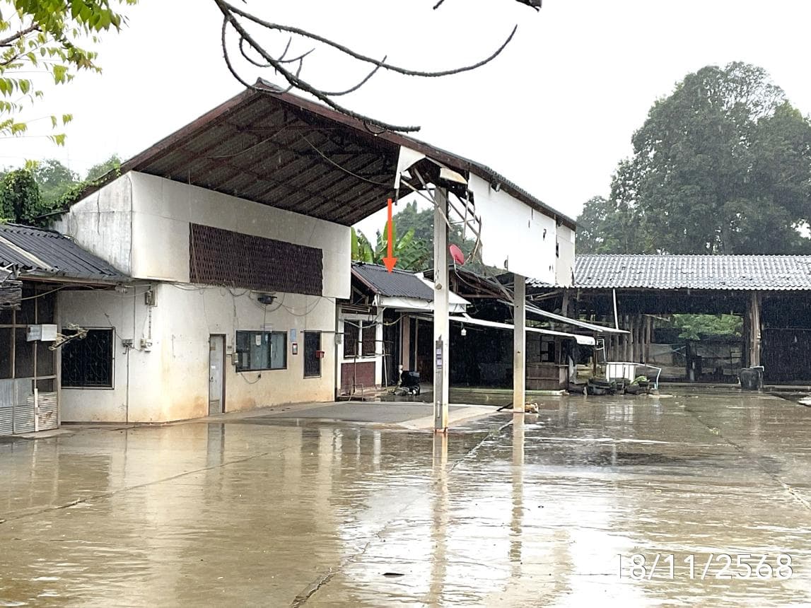 บ้านเดี่ยว 2 ห้องนอน พื้นที่ 152.5 ตร.ม. ทำเลศักยภาพ หล่ายงาว เวียงแก่น เชียงราย