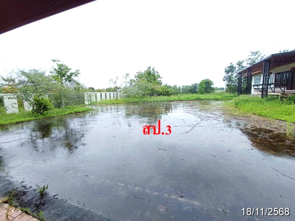 ขายบ้านเดี่ยวหลังใหญ่พิเศษ ฝาง เชียงใหม่ ทำเลเวียง เนื้อที่ 87.2 ตร.ว. พื้นที่ใช้สอย 496 ตร.ม. 3 ห้องนอน 4 ห้องน้ำ สภาพดี บรรยากาศเงียบสงบ