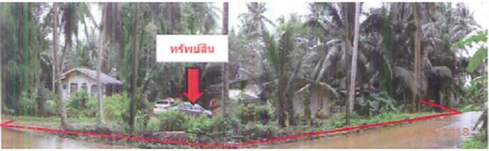 ที่ดินพร้อมสิ่งปลูกสร้าง ท่าแซะ ชุมพร