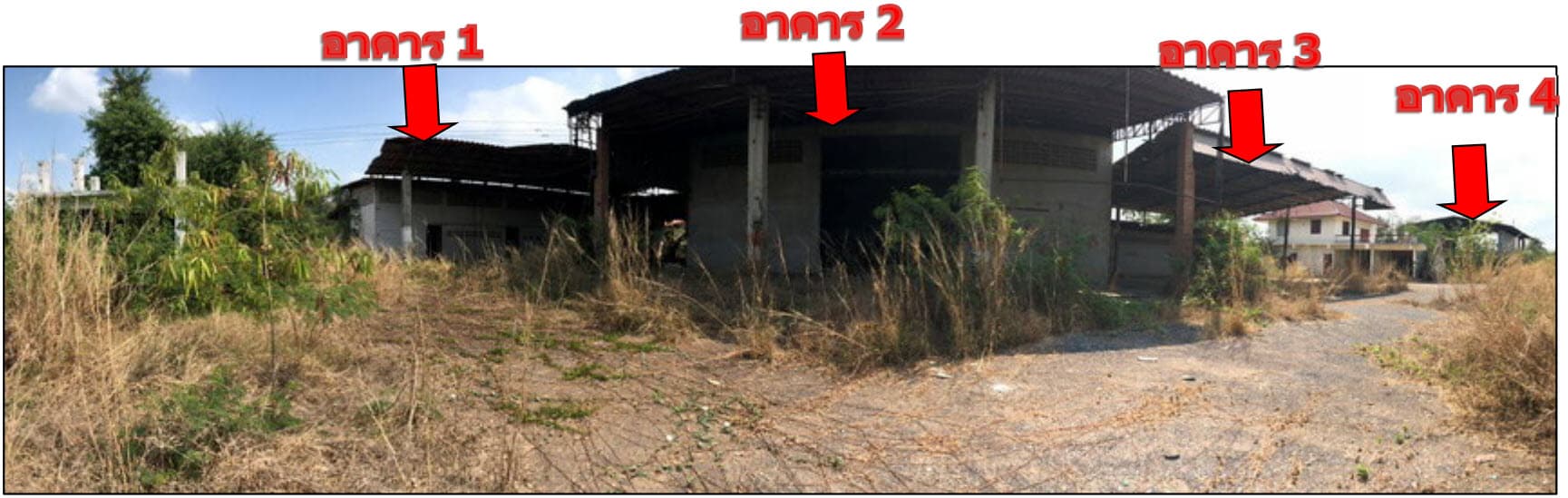 ที่ดินพร้อมสิ่งปลูกสร้าง บางมูลนาก พิจิตร