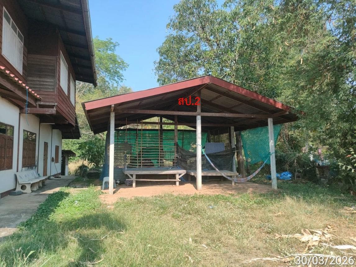 ขายบ้านเดี่ยวชั้นเดียวหลังใหญ่ พื้นที่กว้าง 74.8 ตร.ว. อ.เชียงยืน จ.มหาสารคาม 3 ห้องนอน 2 ห้องน้ำ พื้นที่ใช้สอยเยอะ บรรยากาศร่มรื่น