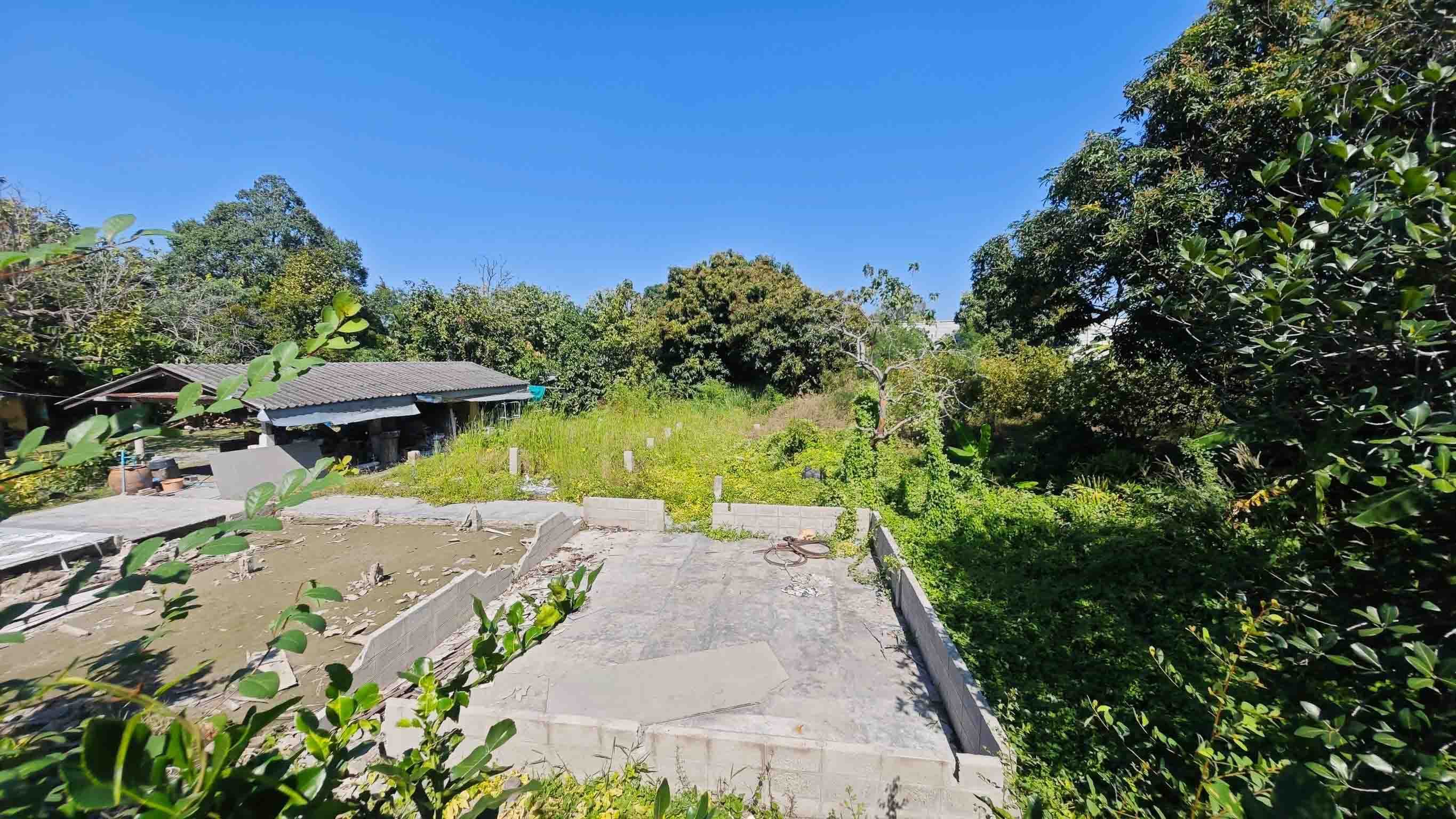 ขายที่ดิน 250 ตรว ชลบุรี บ้านสวน หนองข้างคอก 4 เหมาะทำบ้านพักอาศัย