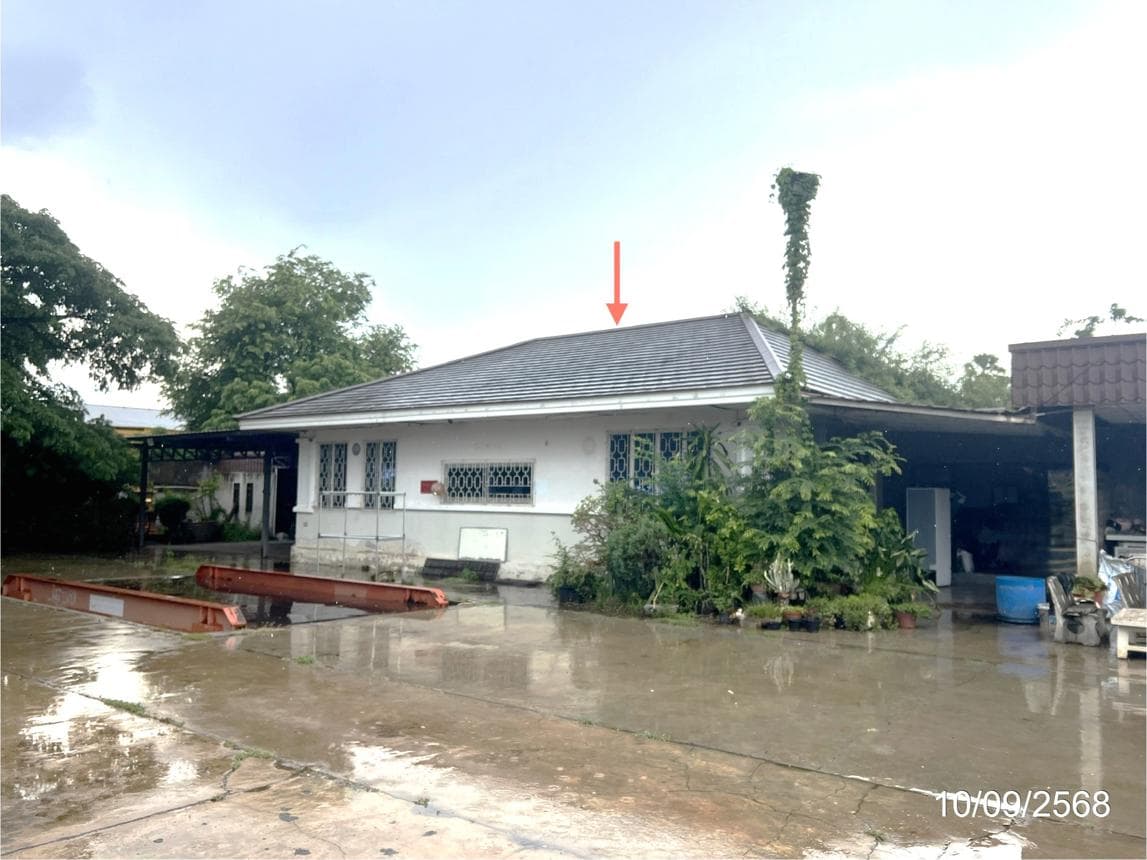 บ้านเดี่ยว โคกสูง สระแก้ว 2 ห้องนอน 2 ห้องน้ำ พื้นที่กว้างขวาง 144 ตร.ม. บนเนื้อที่ 6 ไร่ ทำเลดีพื้นที่เยอะ ราคา 10 ล้านต้นๆ