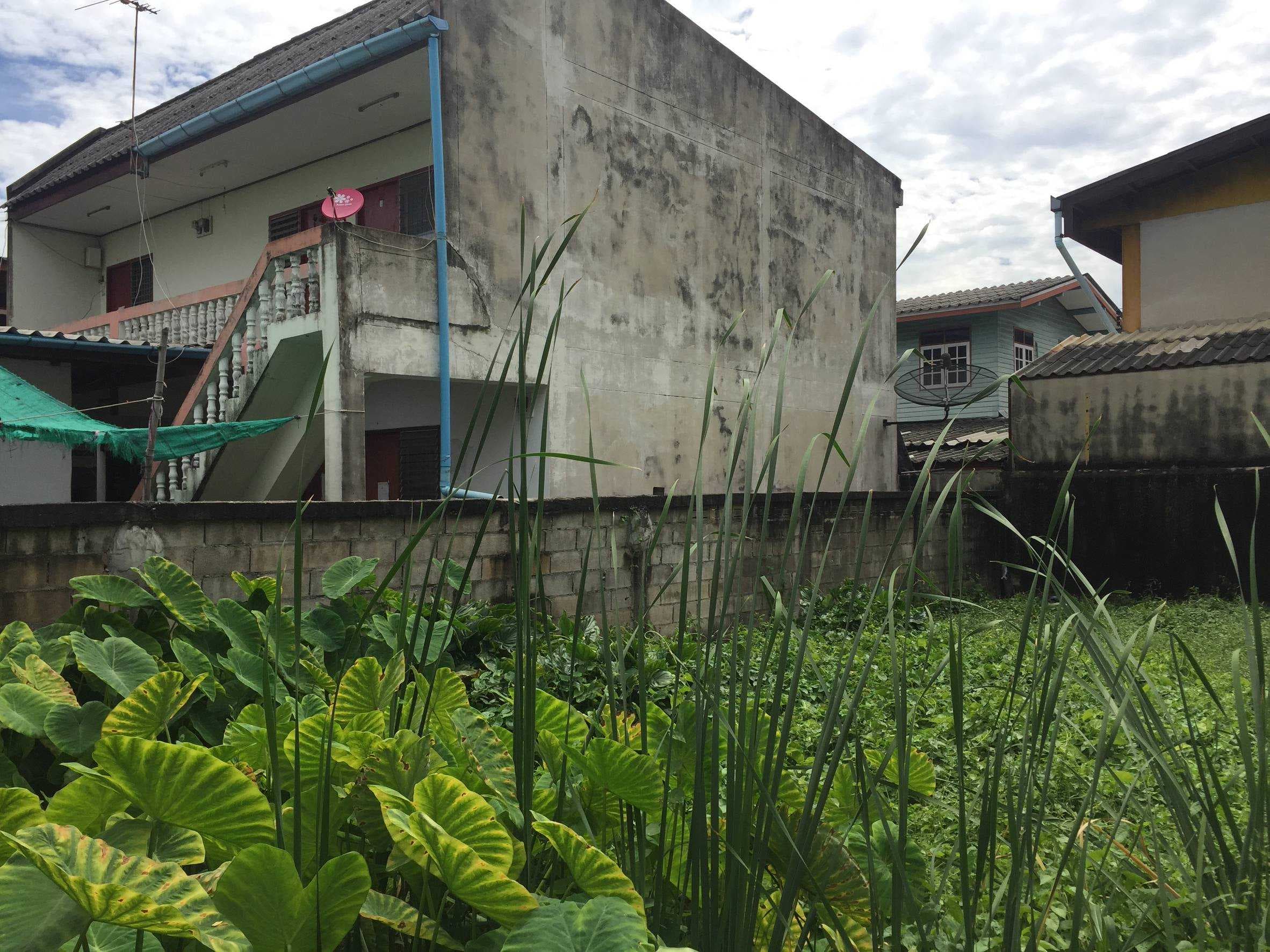 ขายที่ดิน 71.9 ตร.ว. กระทุ่มแบน สมุทรสาคร ทำเล เหมาะสร้างบ้านที่อยู่อาศัย