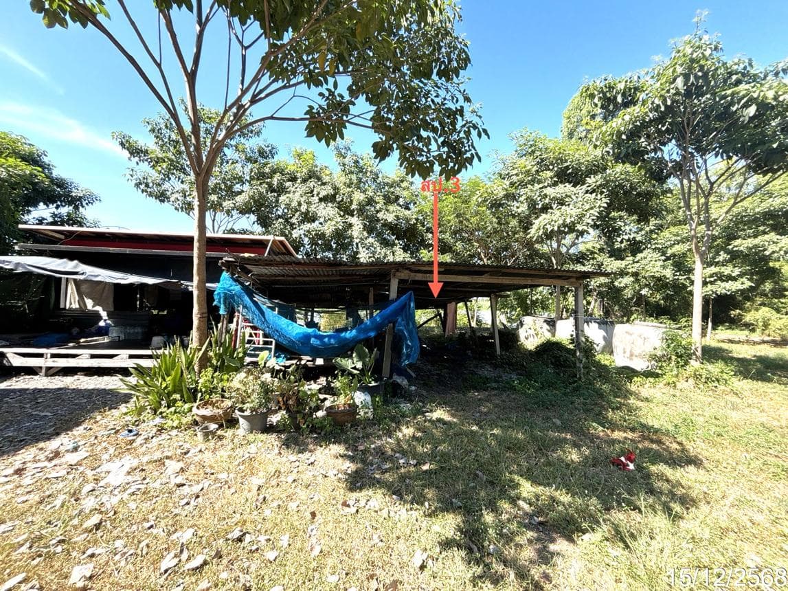 บ้านเดี่ยว เขาสมอคอน ท่าวุ้ง ลพบุรี 4 ห้องนอน 2 ห้องน้ำ พื้นที่ 108.5 ตร.ม. บนที่ดิน 10 ตร.ว. ทำเลสงบ วิถีชุมชน ราคาคุ้มค่า