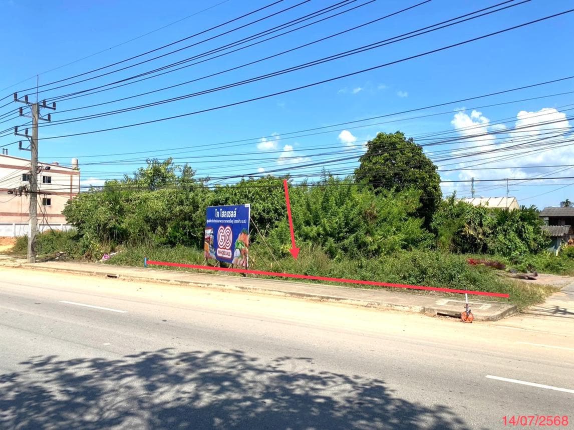 ขายที่ดินว่างเปล่า พะตง หาดใหญ่ สงขลา แปลงใหญ่ 35.4 ไร่ ทำเลศักยภาพ เหมาะลงทุนและพัฒนาโครงการ ราคาพิเศษ