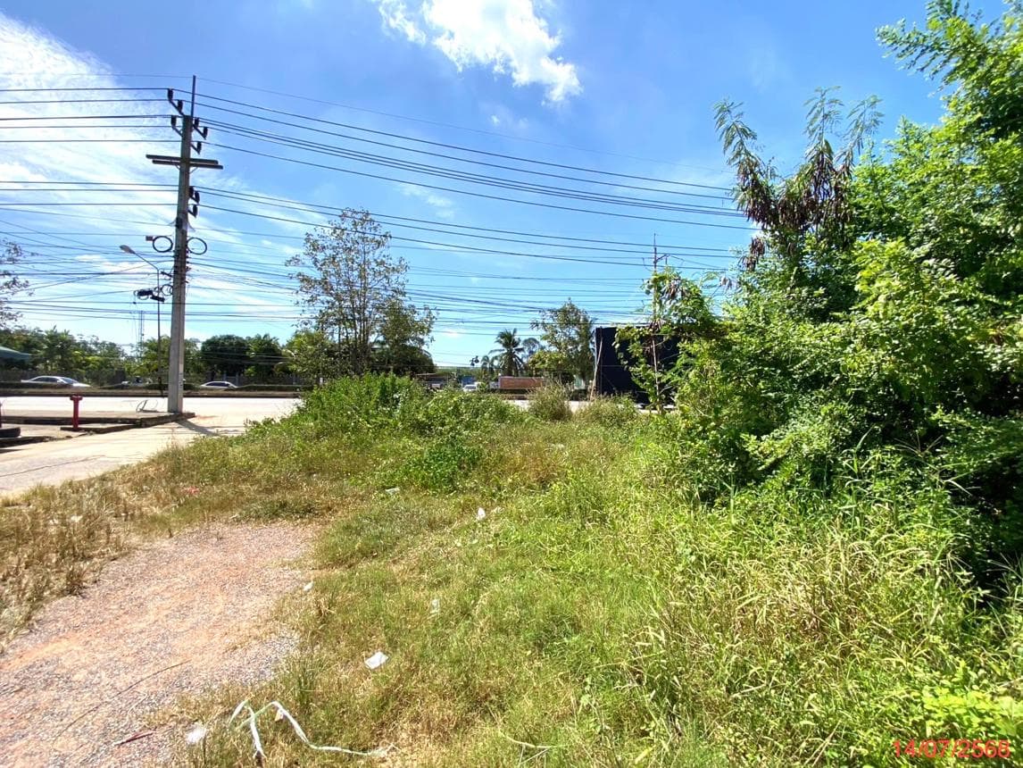 ขายที่ดินว่างเปล่า พะตง หาดใหญ่ สงขลา แปลงใหญ่ 35.4 ไร่ ทำเลศักยภาพ เหมาะลงทุนและพัฒนาโครงการ ราคาพิเศษ