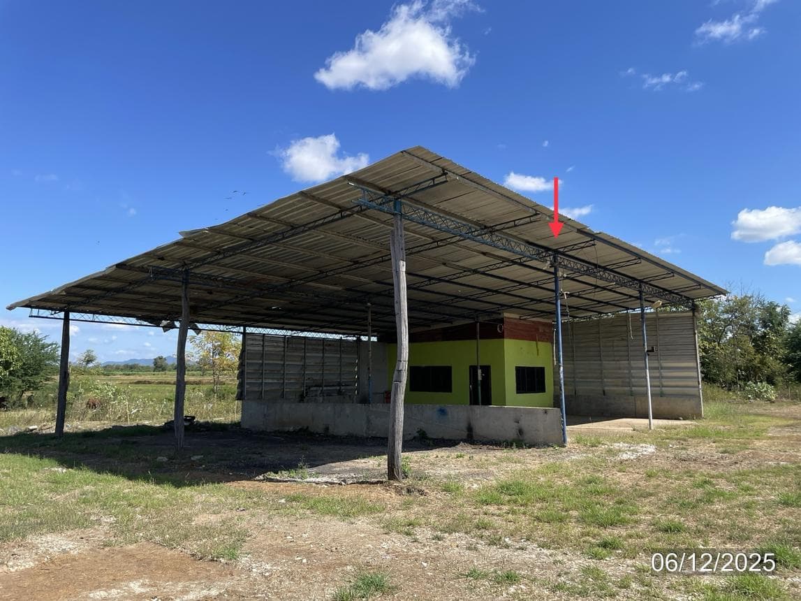 บ้านเดี่ยว วังงิ้ว ดงเจริญ พิจิตร พื้นที่ใช้สอยกว้างขวางเป็นพิเศษ 335 ตร.ม. บนที่ดินขนาดใหญ่ 58 ไร่ ทำเลดีบรรยากาศธรรมชาติ เหมาะสำหรับอยู่อาศัยและทำเกษตรกรรม ราคาพิเศษ 5.61 ล้าน