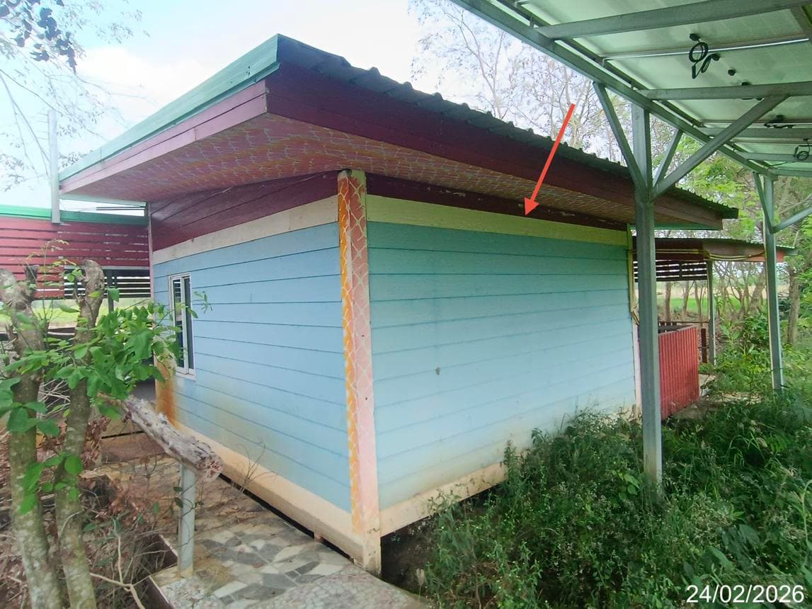 ขายบ้านเดี่ยว วชิรบารมี พิจิตร ทำเลบ้านนา พื้นที่ใช้สอย 46 ตร.ม. บนเนื้อที่ 59 ตร.ว. สภาพดี บรรยากาศเงียบสงบเป็นส่วนตัว