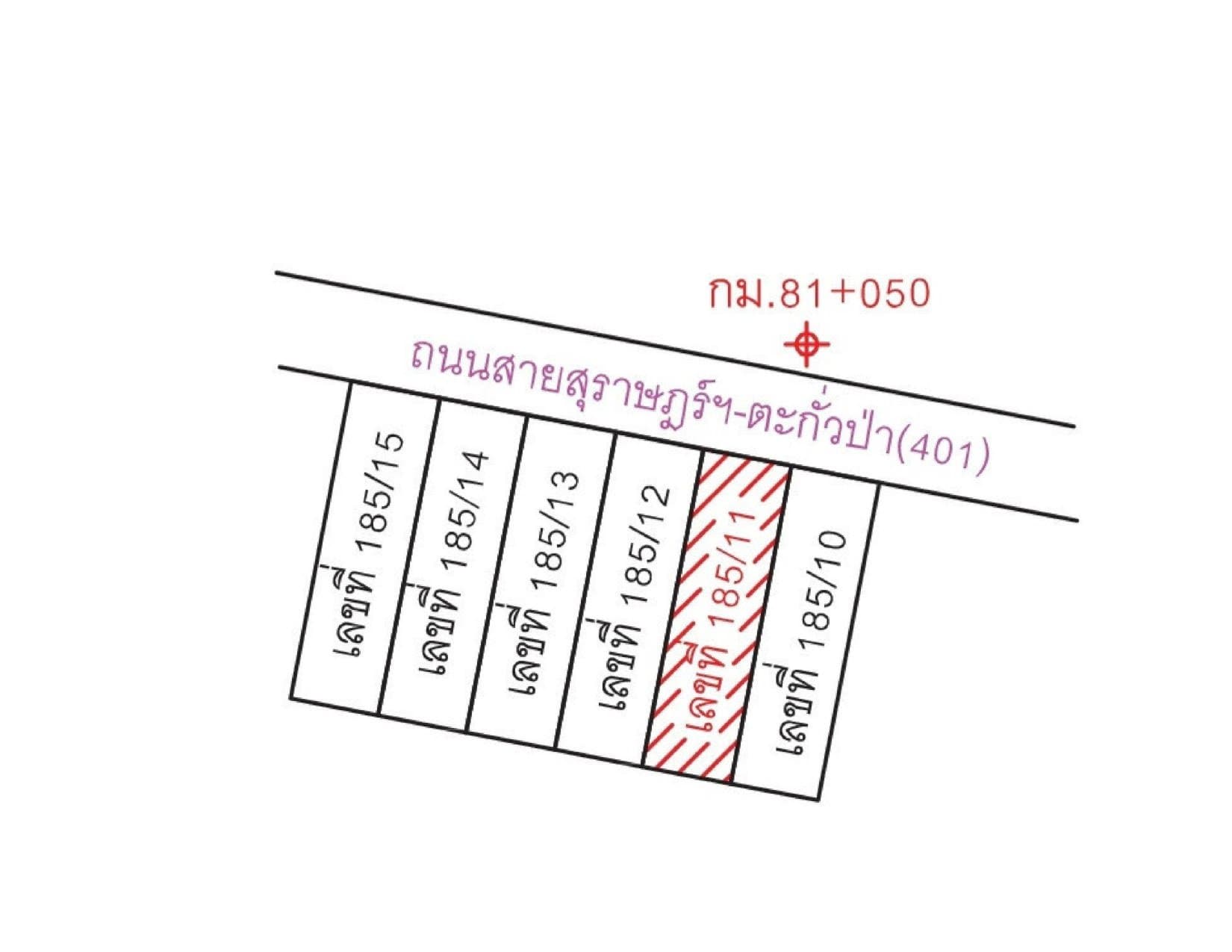 อาคารพาณิชย์ พนม-สุราษฎร์ธานี