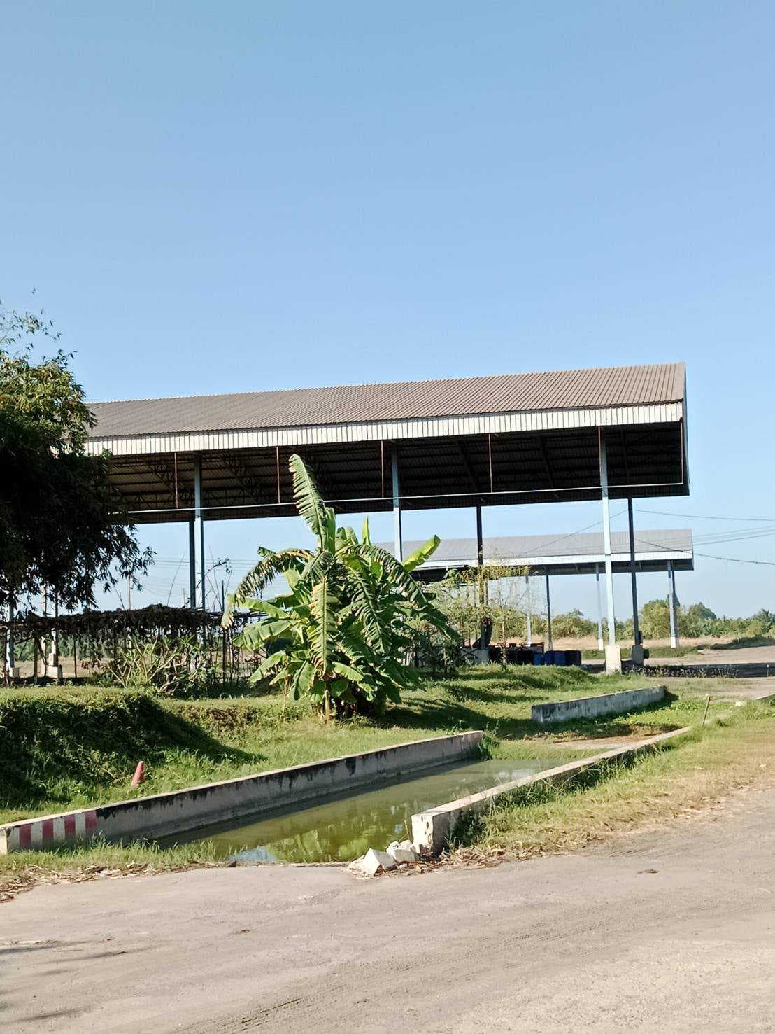 ขายโรงงาน พร้อมใบอนุญาต รง.106 จำนวน 2 ใบ ทำเลอุตสาหกรรม อ.แปลงยาว จ.ฉะเชิงเทรา
