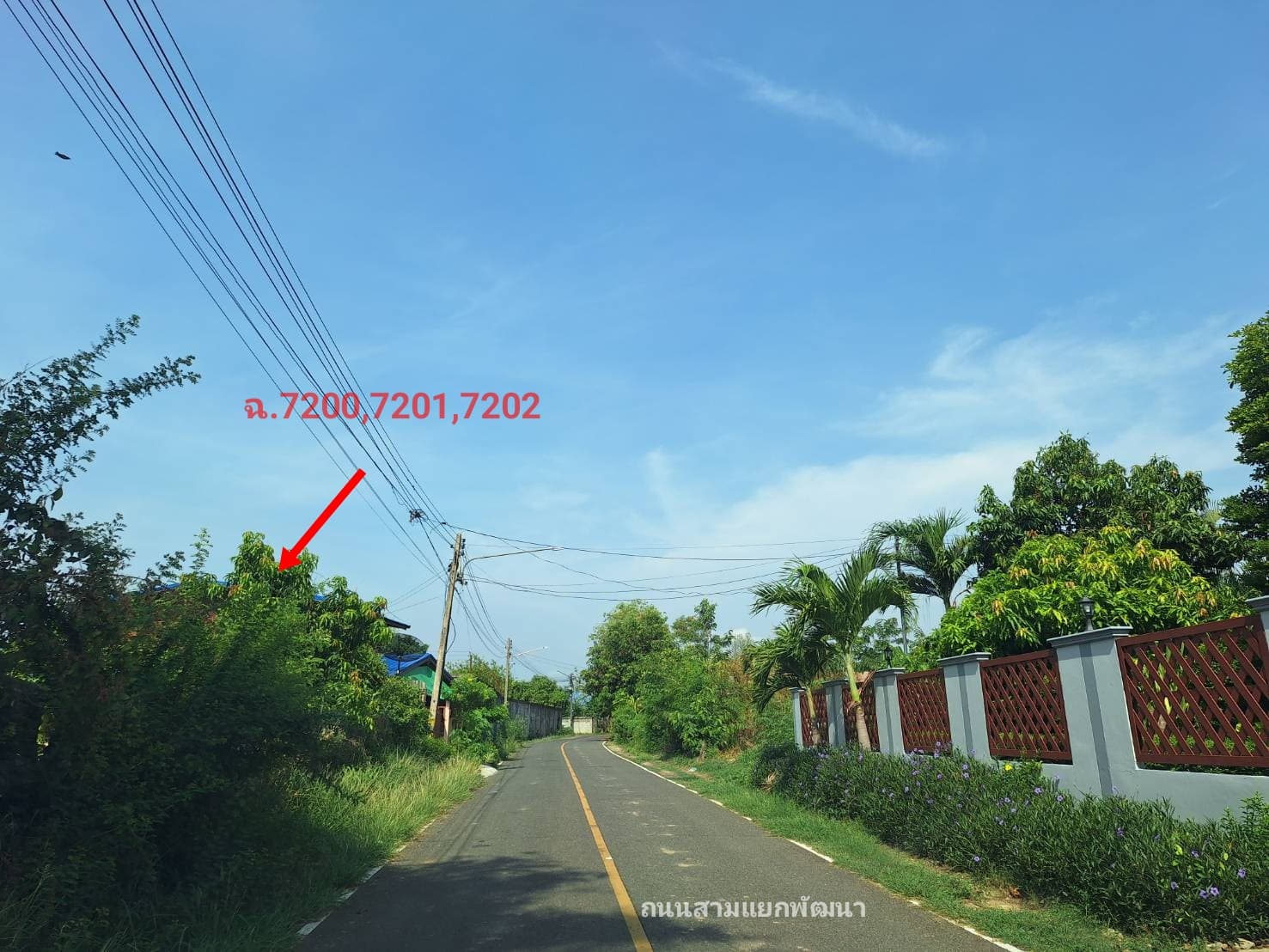 ที่ดินพร้อมสิ่งปลูกสร้าง เลิงนกทา ยโสธร