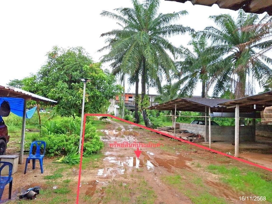 บ้านเดี่ยว เขาวิเศษ วังวิเศษ ตรัง ทำเลดี พื้นที่ใช้สอยกว้างขวาง บรรยากาศเงียบสงบ