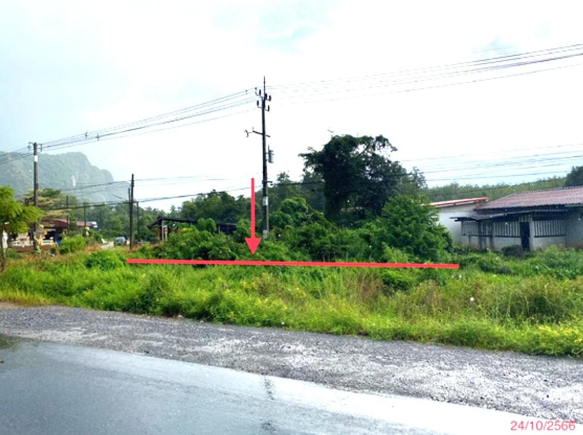 ขายที่ดิน แพรกหา ควนขนุน พัทลุง ขนาด 64 ตร.ว. ทำเลศักยภาพ
